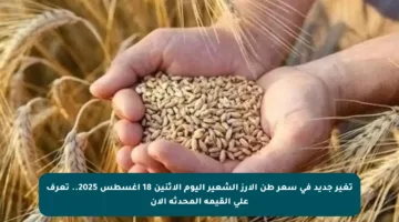 تغير جديد في سعر طن الأرز الشعير اليوم الإثنين 18 أغسطس 2025.. تعرف على القيمة المحدثة الآن